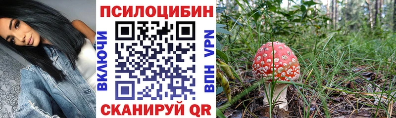 Галлюциногенные грибы GOLDEN TEACHER Сурск